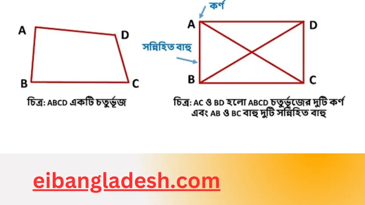 চতুর্ভুজ কাকে বলে