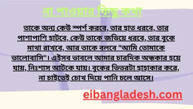 না পাওয়ার কিছু কথা