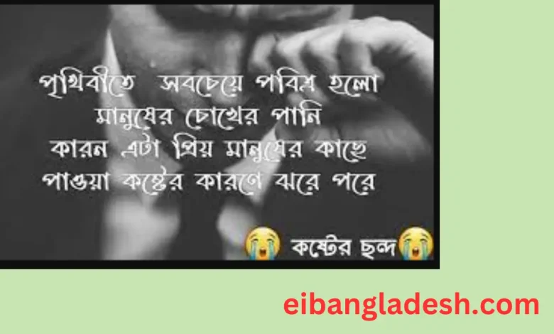 ভালোবাসার কষ্টের ছন্দ