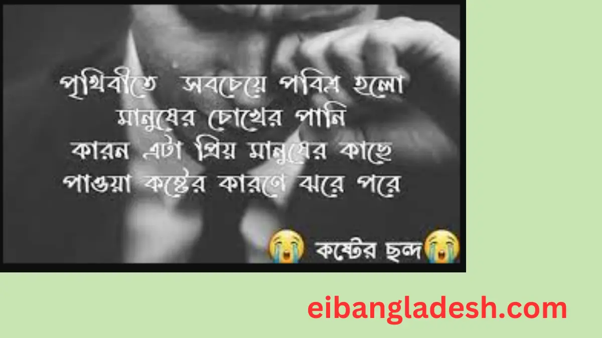 ভালোবাসার কষ্টের ছন্দ