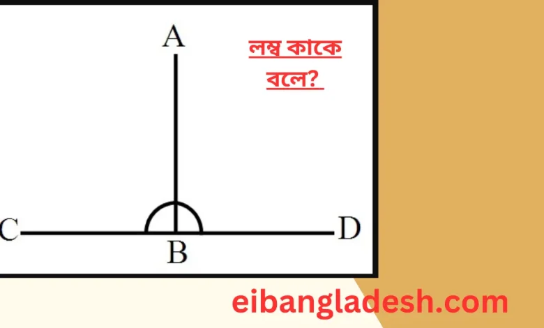 লম্ব কাকে বলে লম্ব এর বৈশিষ্ট্য কি