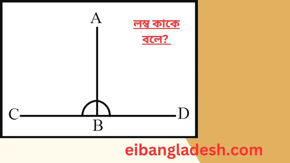 লম্ব কাকে বলে লম্ব এর বৈশিষ্ট্য কি