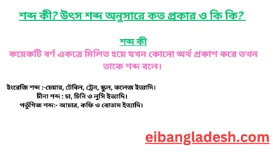 শব্দ কী উৎস শব্দ অনুসারে কত প্রকার ও কি কি