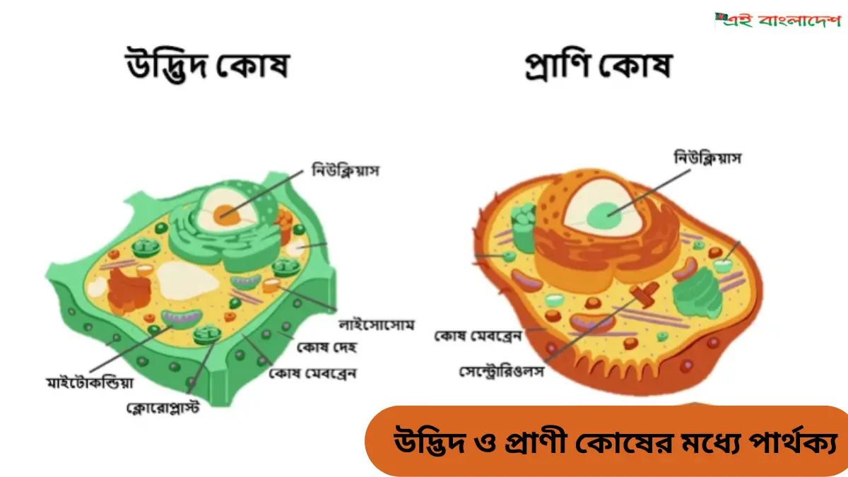 উদ্ভিদ ও প্রাণী কোষের মধ্যে পার্থক্য