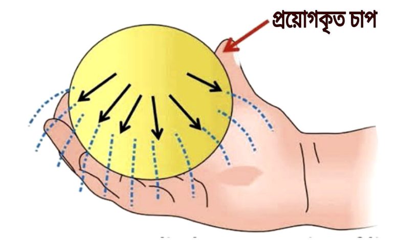 প্যাসকেলের সূত্র