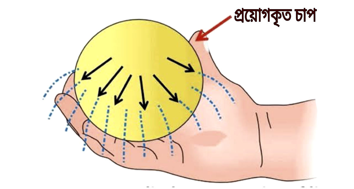 প্যাসকেলের সূত্র