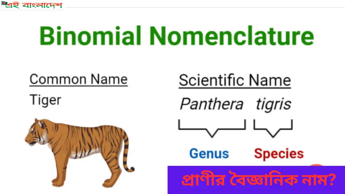 প্রাণীর বৈজ্ঞানিক নাম