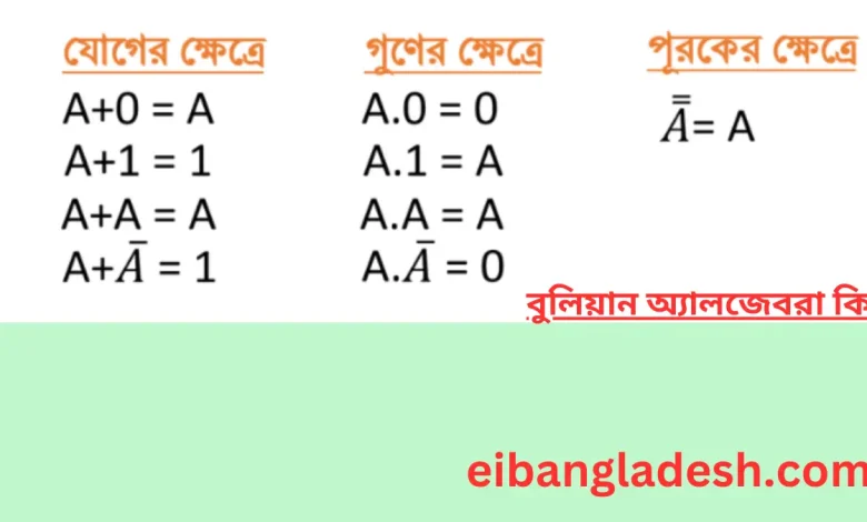 বুলিয়ান অ্যালজেবরা কি