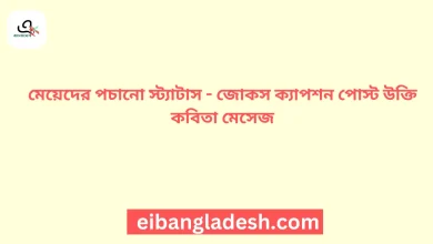 মেয়েদের পচানো স্ট্যাটাস জোকস ক্যাপশন পোস্ট উক্তি কবিতা মেসেজ