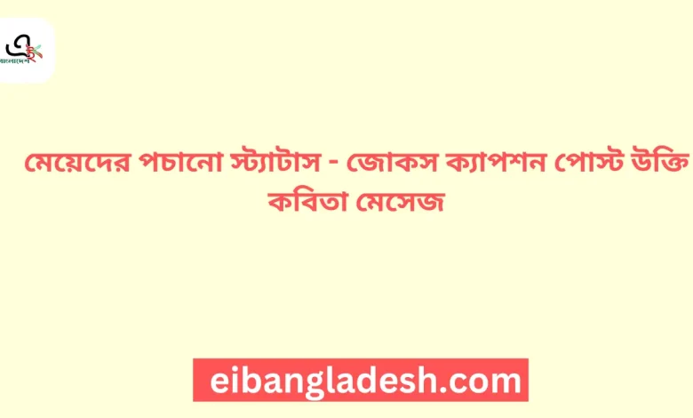 মেয়েদের পচানো স্ট্যাটাস জোকস ক্যাপশন পোস্ট উক্তি কবিতা মেসেজ