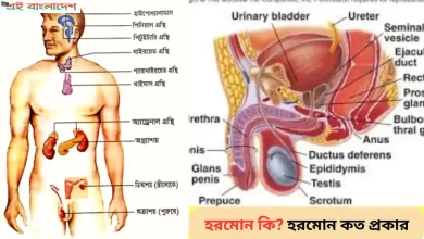 হরমোন কি হরমোন কত প্রকার