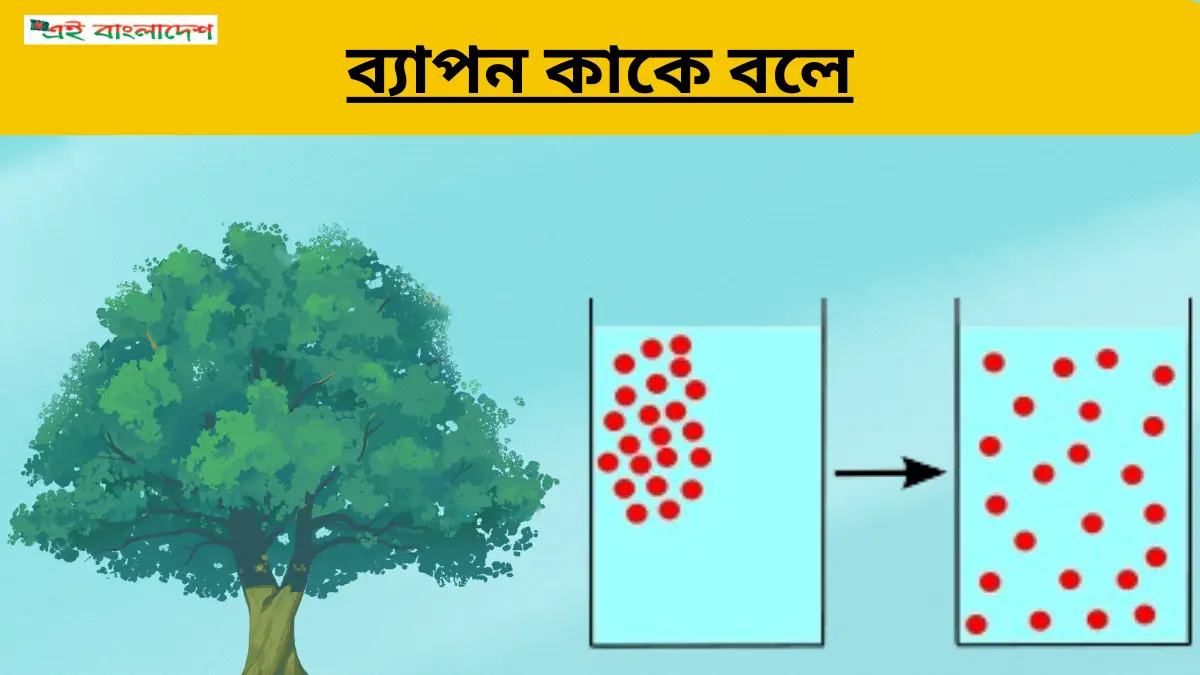 ব্যাপন কাকে বলে (2)