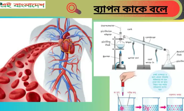 ব্যাপন কাকে বলে