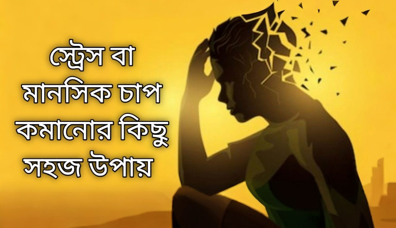 স্ট্রেস বা মানসিক চাপ কমানোর কিছু সহজ উপায় 2024