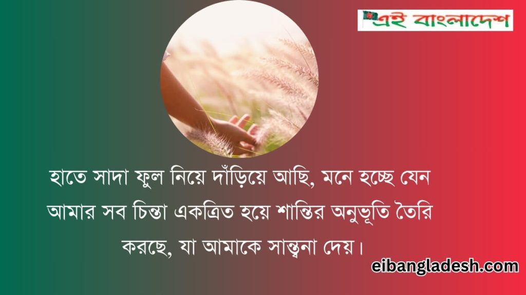 সাদা ফুল নিয়ে ক্যাপশন