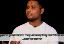 পুরোনো ভুল কাঠামোয় ফিরে যেতে চায় কিছু রাজনৈতিক দল: এনসপির হাসনাত