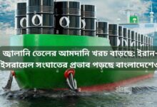 জ্বালানি তেলের আমদানি খরচ বাড়ছে ইরান ইসরায়েল সংঘাতের প্রভাব পড়ছে বাংলাদেশেও