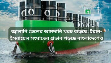 জ্বালানি তেলের আমদানি খরচ বাড়ছে ইরান ইসরায়েল সংঘাতের প্রভাব পড়ছে বাংলাদেশেও