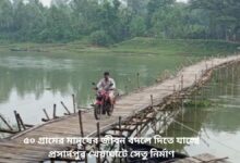 নওগাঁর মান্দা উপজেলার প্রসাদপুর খেয়াঘাটে